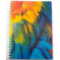 caderno-universitario-10x1-160f-3d-penas-coloridas-0785-impra