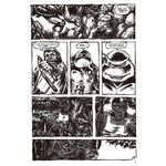 tartarugas ninja - coleção clássica 3 tartarugas ninja - coleção clássica 3