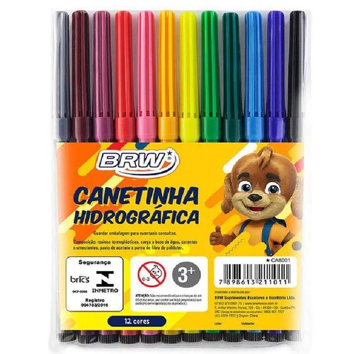 caneta hidrográfica 12 cores