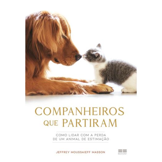 companheiros que partiram