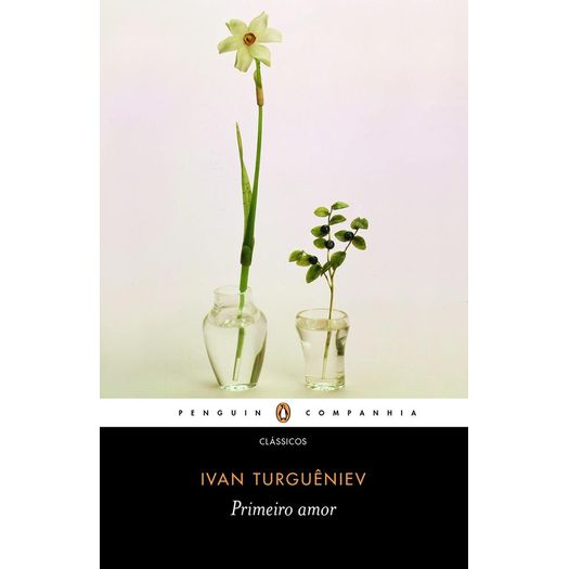 primeiro amor primeiro amor