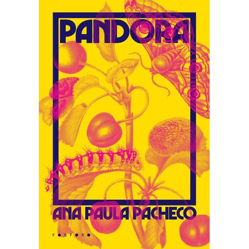 pandora