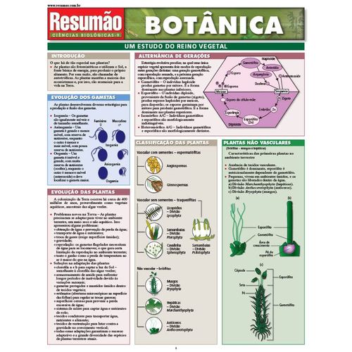 resumao-botanica