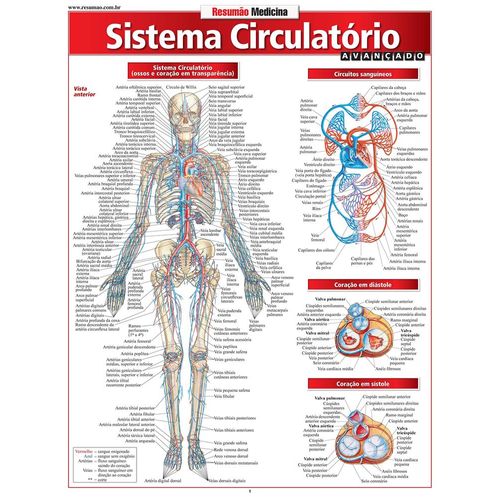 resumao-medicina---sistema-circulatorio
