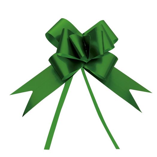 laço mágico acetinado verde 23mm pacote com 10 unidades 1330180 cromus blister laço mágico acetinado verde 23mm pacote com 10 unidades 1330180 cromus blister