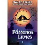 passaros-livres