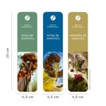 corrente de espinhos 3 - com brinde