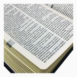  Bíblia Linha Ouro - Jesus, Letra Grande, capa preta, índice  impresso, beira pintada (Português) (Spanish Edition): 7899938420003: Bible  Society of Brazil: Books