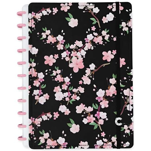 pp066851_1 pp066851_1