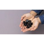 pp067565_3 pp067565_3