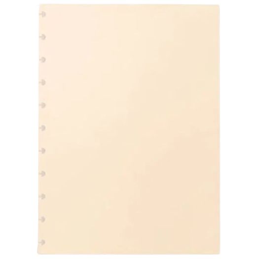 pp066991_1 pp066991_1