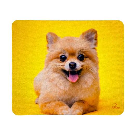 in029381_1 in029381_1