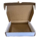 pp069199_3 pp069199_3