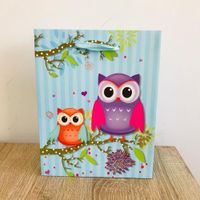 sacola-para-presente-com-alca-pequena-coruja-18x23cm-impor
