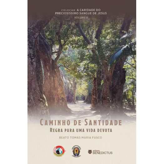 caminho de santidade
