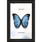 lv428561_1 lv428561_1