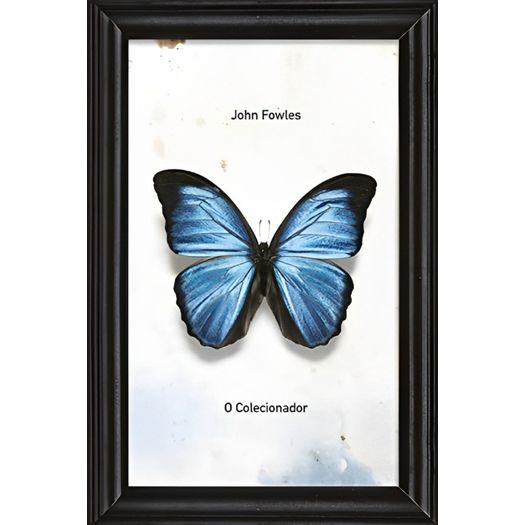 lv428561_1 lv428561_1