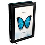 lv428561_2 lv428561_2