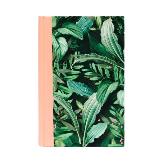 lv505380_1 lv505380_1