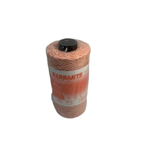 pp066334_1 pp066334_1