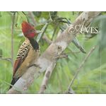 lv273798_1 lv273798_1