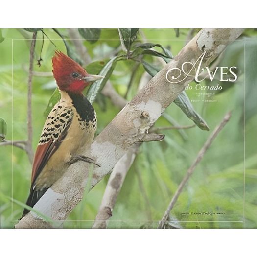 lv273798_1 lv273798_1