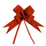 pp067411_1 pp067411_1