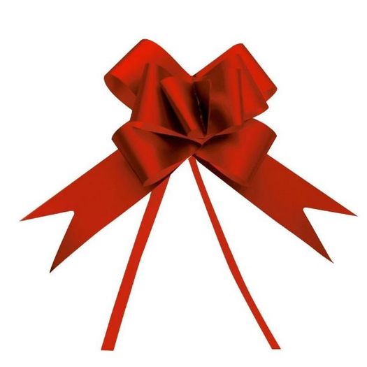 pp067411_1 pp067411_1