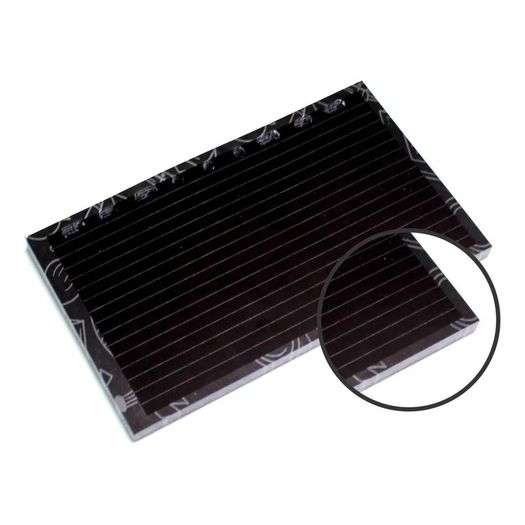 pp068786_1 pp068786_1