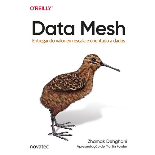 data-mesh