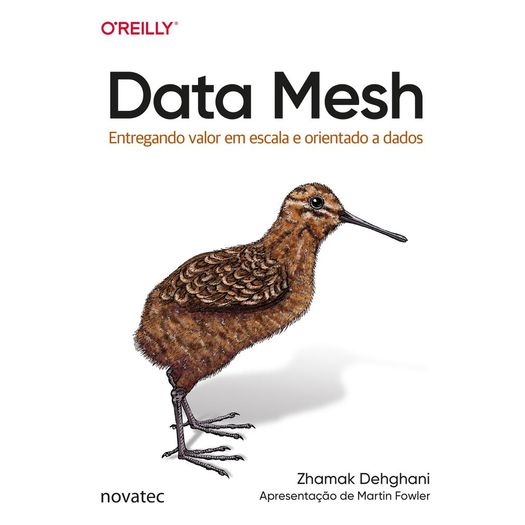 data-mesh