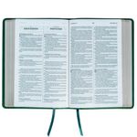 bíblia bilíngue português inglês - couro soft verde