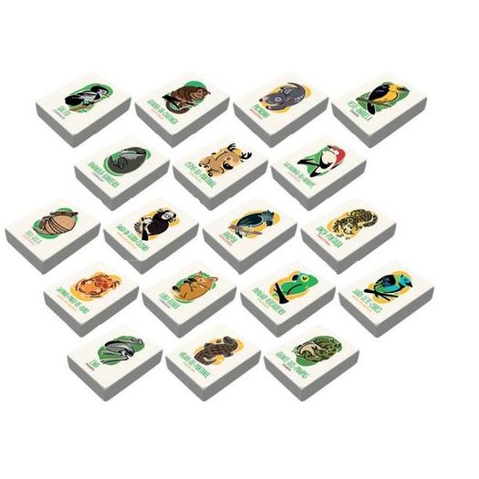 pp070255_1 pp070255_1