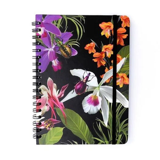 pp070222_1 pp070222_1