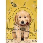 pp070363_2 pp070363_2