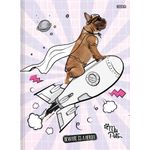 pp070363_3 pp070363_3