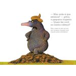 da pequena toupeira