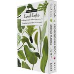 box-minhas-plantas