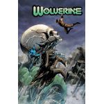 wolverine (2022) 15