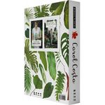 box-minhas-plantas