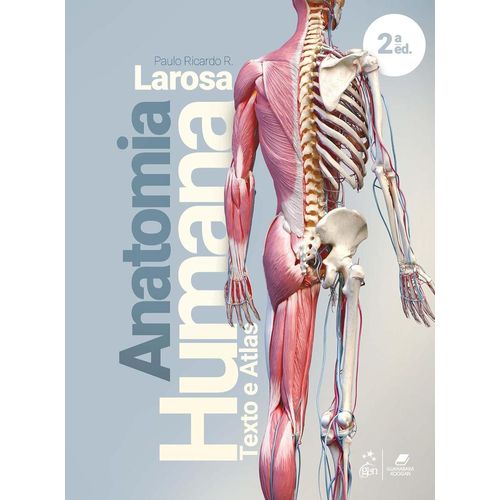 anatomia-humana