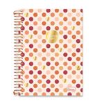 caderno colegial 15 matérias 240 folhas double art cadersil