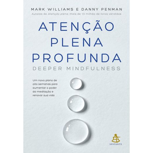 atenção plena profunda atenção plena profunda
