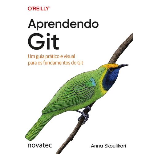 aprendendo git: um guia prático e visual para os fundamentos do git