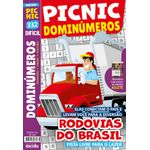picnic dominúmeros - rodovias do brasil - dificil
