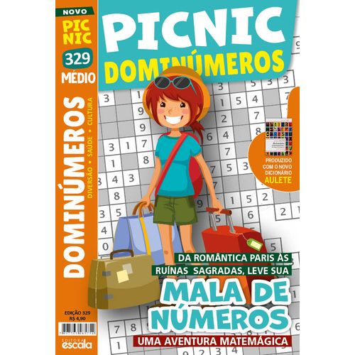 picnic diminúmeros - mala de números - médio