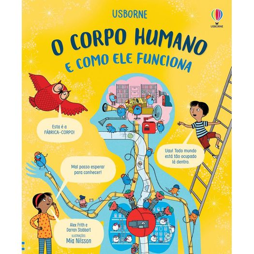 o corpo humano e como ele funciona o corpo humano e como ele funciona