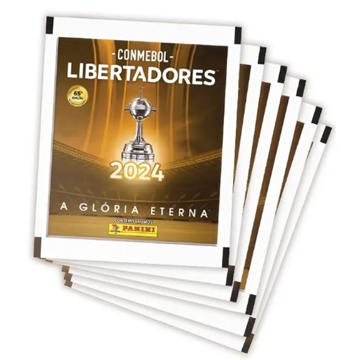 conmebol libertadores 2024 - envelopes soltos conmebol libertadores 2024 - envelopes soltos