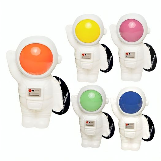 pp069500_1 pp069500_1