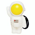 pp069500_2 pp069500_2